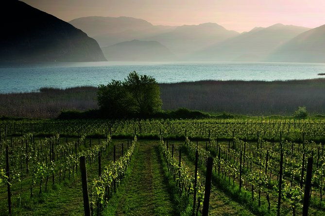 bergamo-and-franciacorta-with-lunch-and-cellar-visit