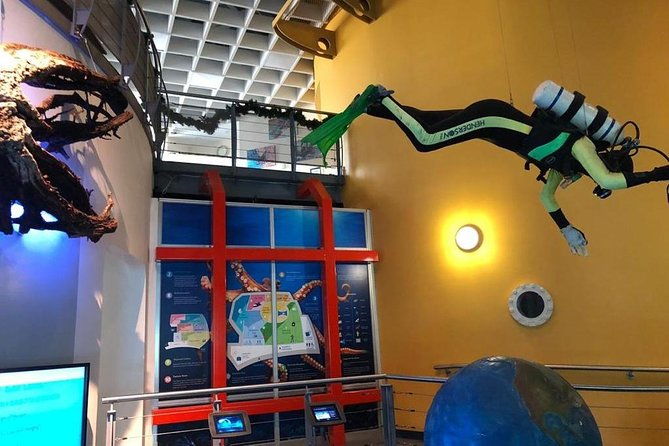 bermuda-underwater-exploration-institute-and-aquarium-adventure-day