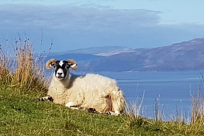 bespoke-private-tours-of-scotland-and-the-borders