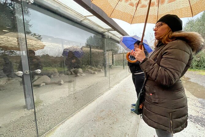 best-of-pompeii-small-group-guided-tour-with-tickets