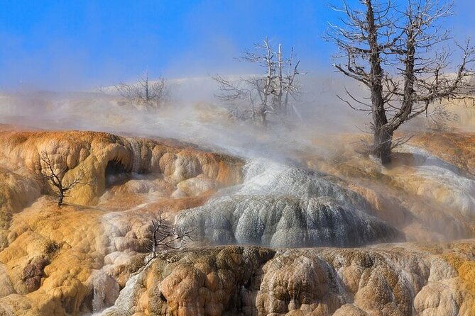 best-of-yellowstone-full-day-natl-park-tour-from-gardiner-2