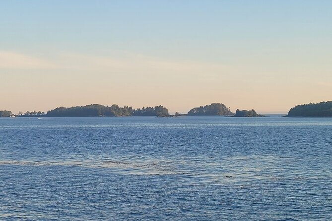 best-whale-watching-and-wildlife-shore-excursion-in-sitka