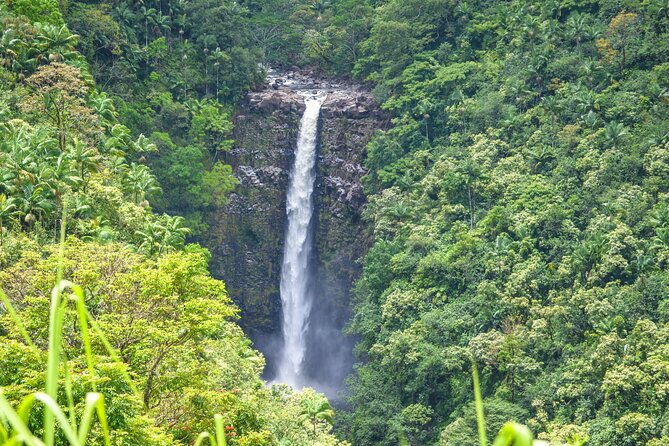 big-island-waterfall-hiking-with-hilo-cruise-ship-pickup