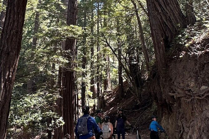 big-sur-electric-bike-tour-along-old-coast-road