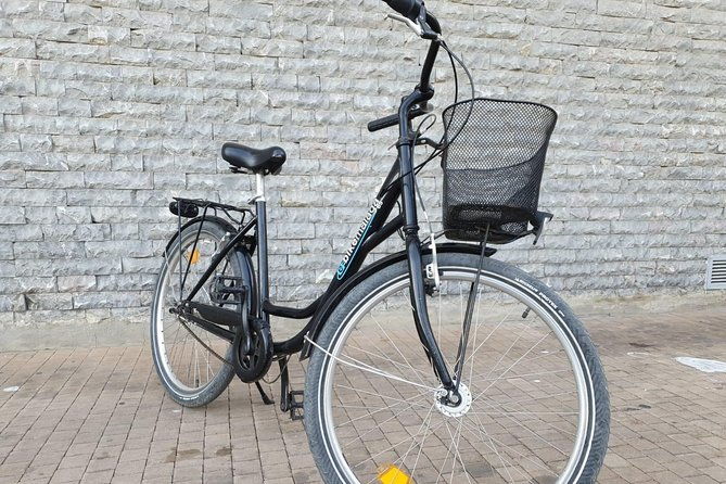 bike-rental-in-malaga