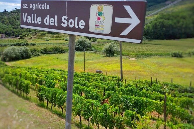 bike-ride-wine-tasting