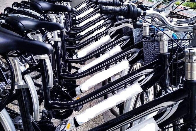 bike-tour-in-san-sebastian-with-free-pintxo-and-drink
