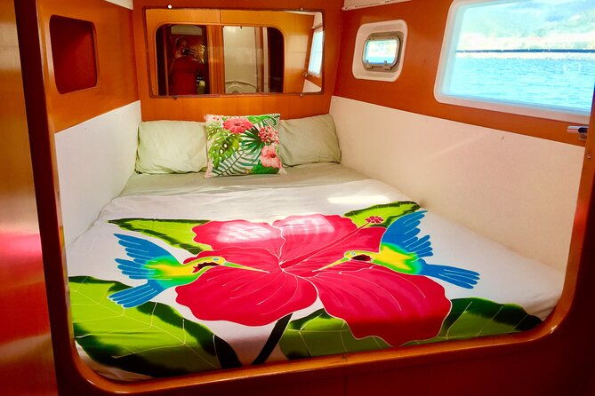 bimini-charters-private-3hr-catamaran-charters-sail-snorkel-2