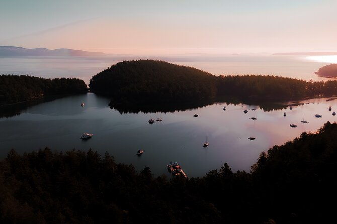 bioluminescence-and-sunset-kayak-tour-in-the-san-juan-islands