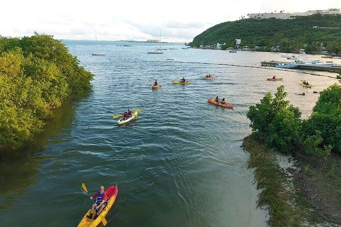 bioluminescent-bay-night-kayak-experience