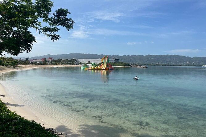 bird-aviary-shopping-beach-day-out-in-montego-bay