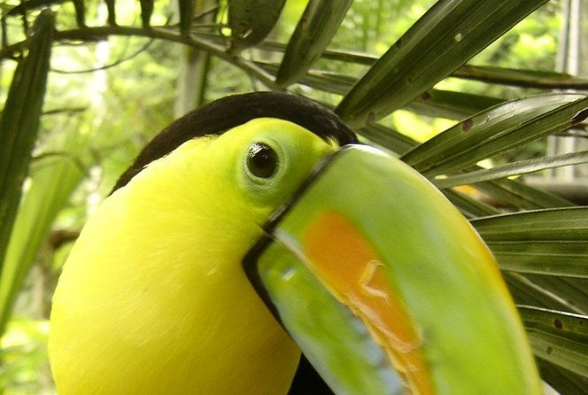 bird-watching-and-wildlife-tour
