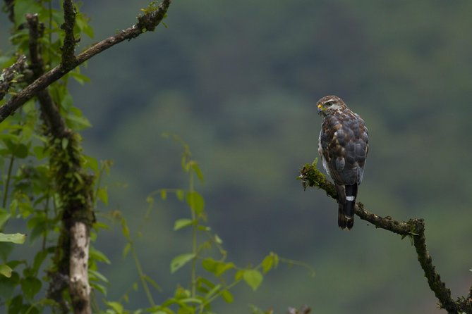 birdwatching-at-mundo-aventura-natural-park