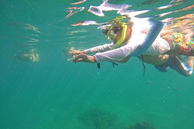 blue-heron-bridge-guided-snorkel-tour-2