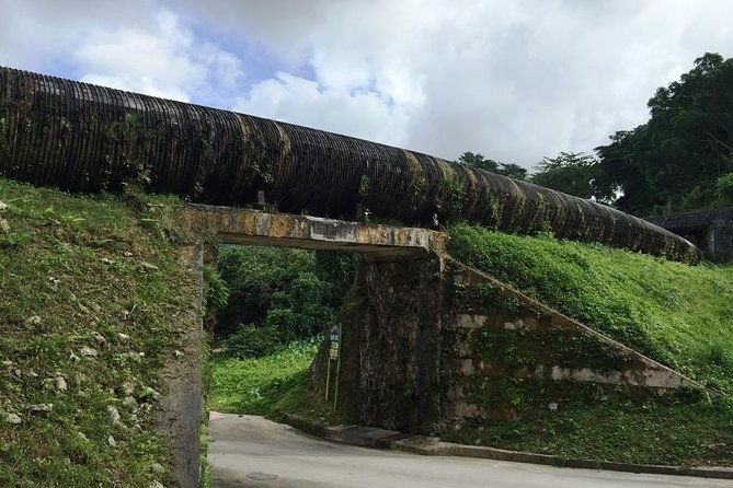 blue-hole-tour-from-ocho-rios-3