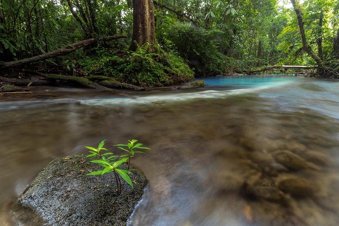 blue-river-and-tenorio-volcano-national-park-hike