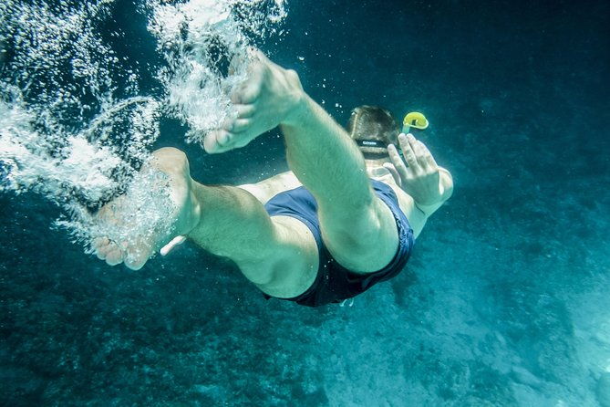 boat-and-snorkeling-in-west-end-blue-channel-the-aquarium-turtle-crossing