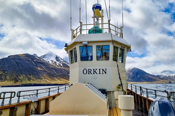 boat-tours-from-siglufjordur-2