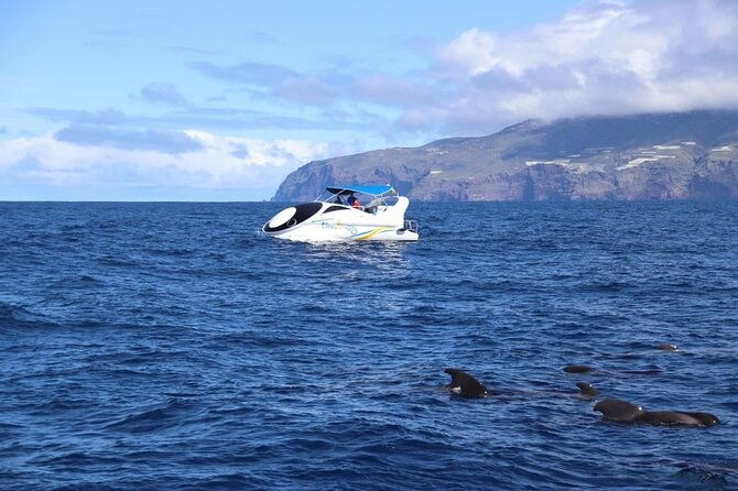 boat-trip-along-the-northwest-coast-of-la-palma-2