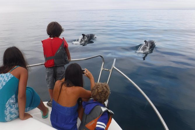 boat-trip-for-dolphin-watching-along-the-arrabida-coast-and-sesimbra