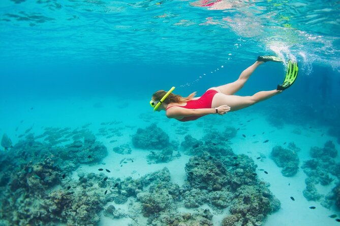 boatride-snorkeling-then-margaritaville-hipstrip-activity
