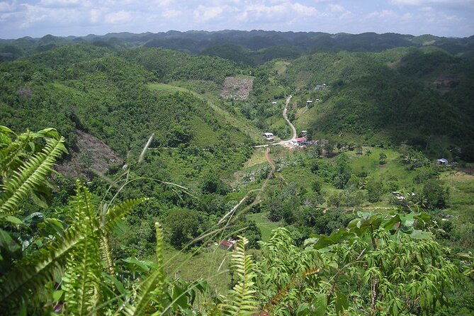 bob-marley-birthplace-nine-miles-tour-from-ocho-rios