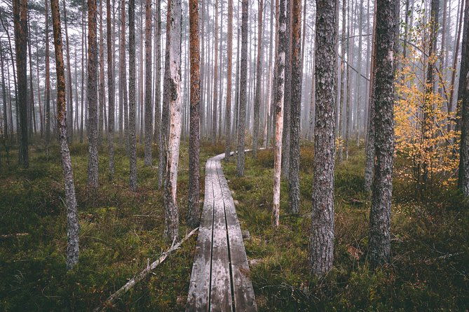bogs-and-resorts-in-jurmala