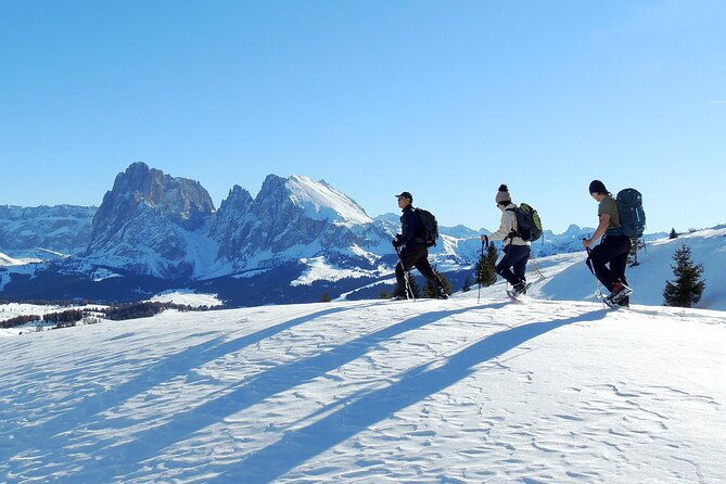 bolzano-dolomites-winter-hiking-sledding-experience