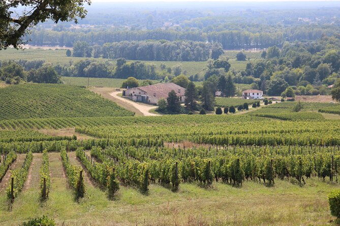 bordeaux-full-day-wine-tastings-gourmet-lunch