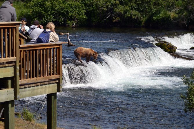 brooks-falls-katmai-bear-viewing-in-a-float-plane