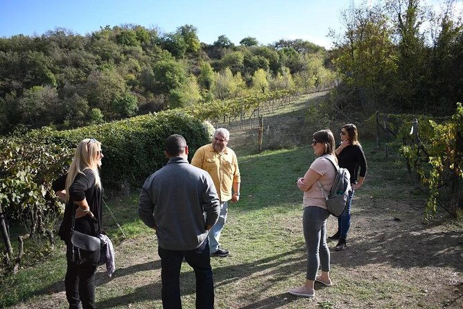 brunello-vineyards-bus-tour-2