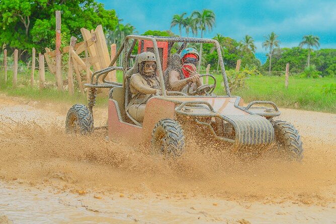 buggy-ride-into-the-jungle-with-cave-coffee-chocolate-tasting