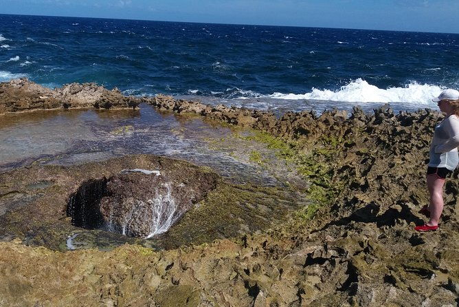 buggy-tours-in-curacao
