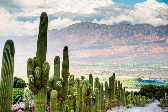 cafayate-vineyards-and-calchaquies-valleys-tour-from-salta