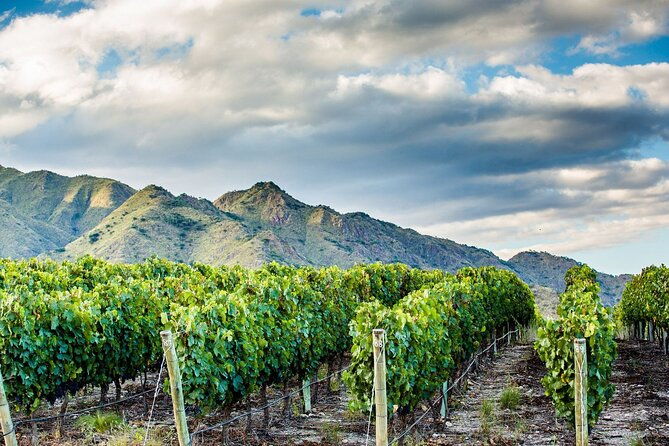 cafayate-wine-trail-excursion-explore-saltas-vineyards