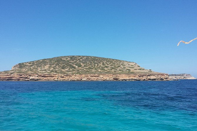 cala-comte-private-catamaran-tour-2