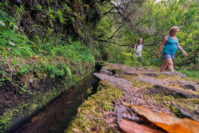 caldeirao-verde-levadas-walk-in-madeira