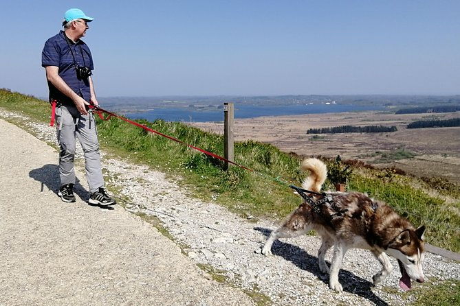 cani-rando-fun-and-original-hiking-pulled-by-huskies-2