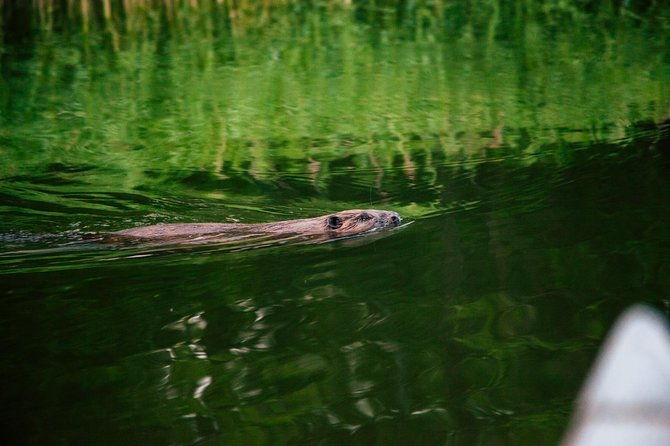 canoe-adventure-in-stockholm-archipelago