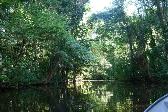 canoe-tour-in-tortuguero-national-park-3