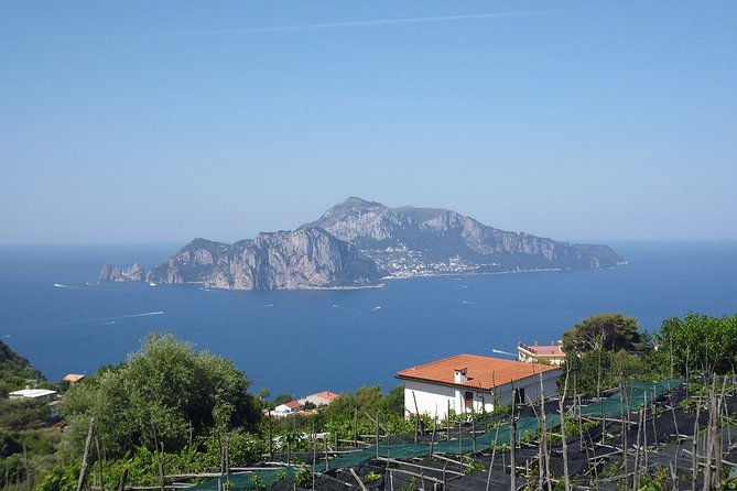 capri-blue-grotto-sorrento-and-pompeii-from-positano-or-amalfi