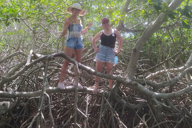 cartagena-mangrove-private-tour