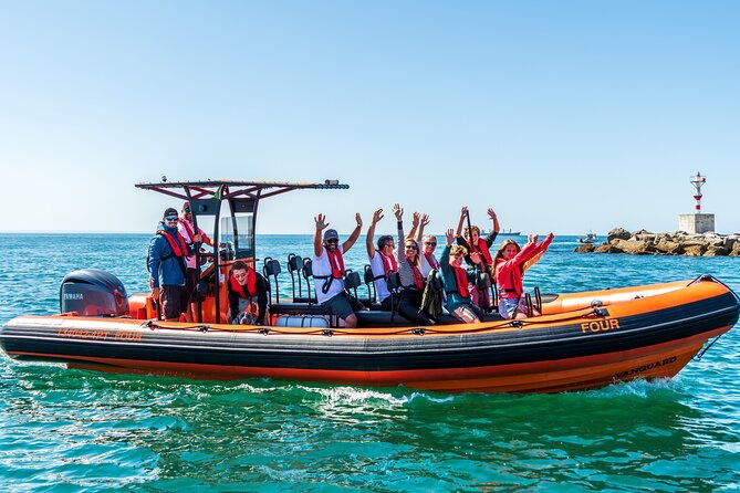 cascais-coast-dolphin-watching-2