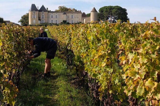castel-wine-tour-in-bordeaux-margaux