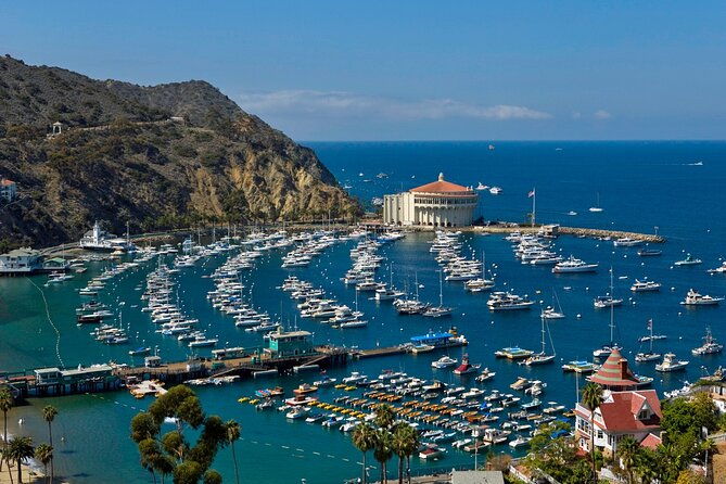 catalina-island-day-trip-from-anaheim-hotels-with-discover-avalon-tour