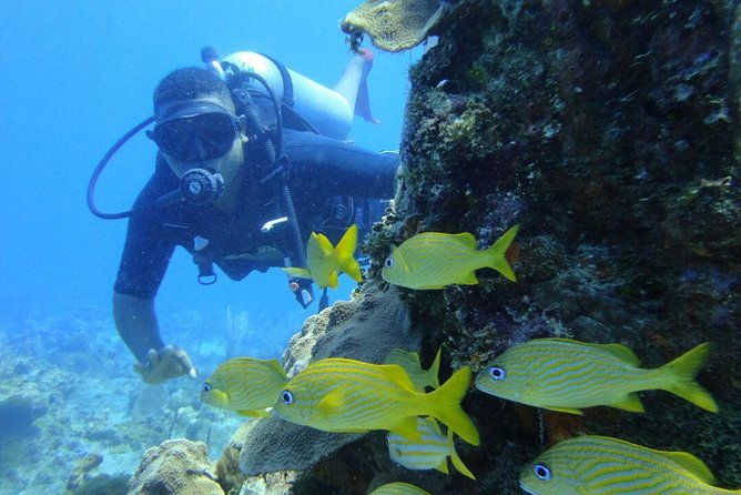 catalina-island-scuba-diving-and-snorkeling-tour-from-punta-cana