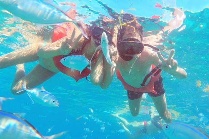 catalina-island-snorkeling-tour