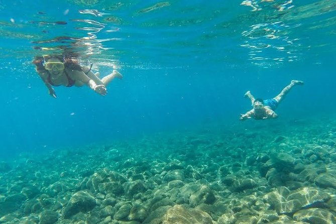 catamaran-day-cruise-to-desertas-islands-from-funchal-2