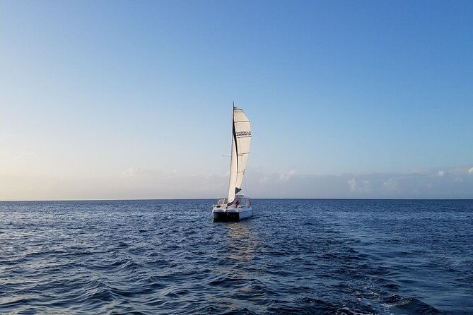 catamaran-sailing-cruise-in-monterey