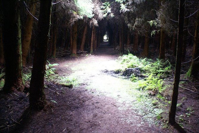 cave-tour-in-terceira-2